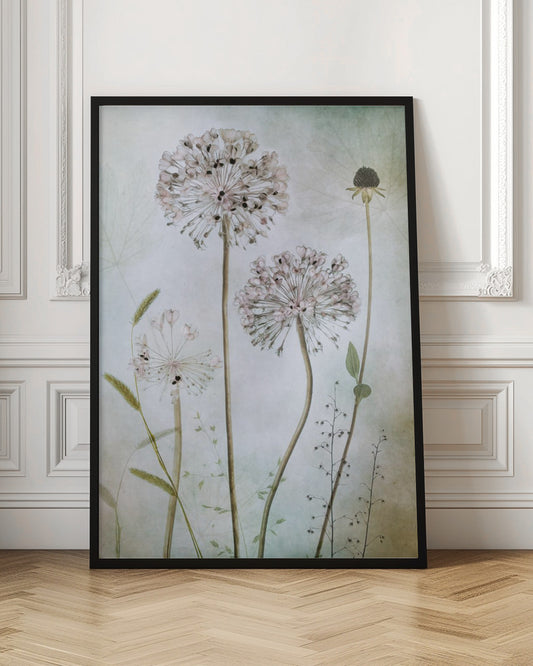 A framed botanical artwork featuring a variety of delicate wildflowers, including several large, round, light pink allium heads with dark centers, on long slender stems against a pale, textured green and beige background. Decor