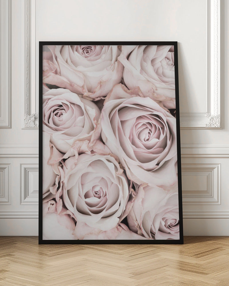 A close-up, overhead photograph of a dense bouquet of dusty pink roses with delicate, layered petals, all framed in black. Wall Art
