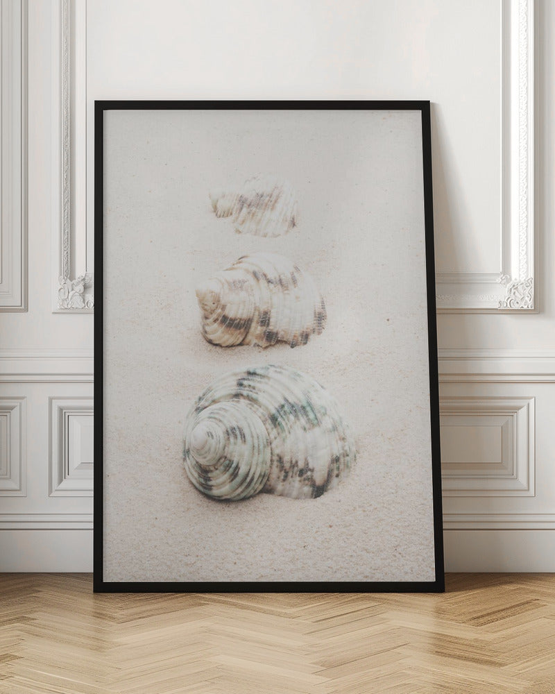 A close-up photograph of three seashells arranged in a vertical line on pale, fine-grained sand. The shells increase in size from top to bottom, with the largest, a white and green patterned turban shell, in the foreground. The image has a soft, serene quality and is enclosed in a black frame. Print