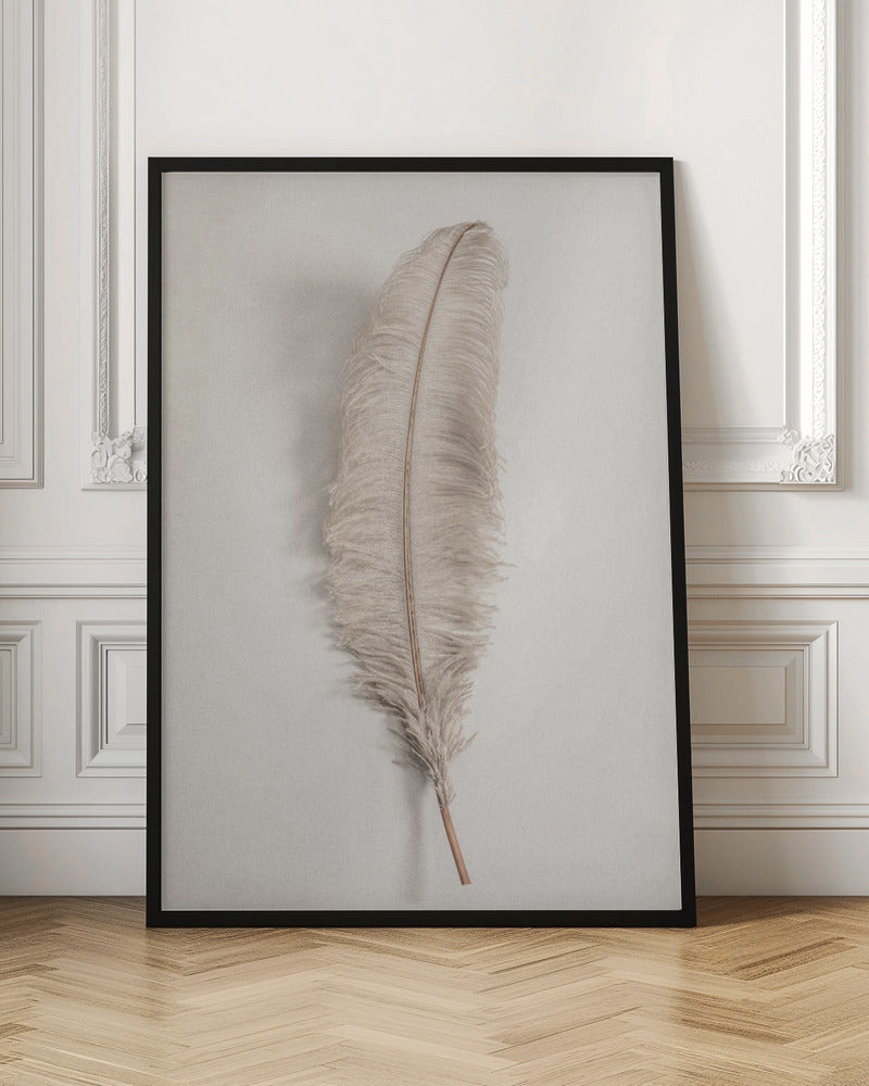 A minimalist photograph of a single, delicate, light beige feather with a thin brown quill, set vertically against a pale, textured gray background and surrounded by a thin black frame. Artwork