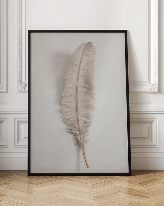 A minimalist photograph of a single, delicate, light beige feather with a thin brown quill, set vertically against a pale, textured gray background and surrounded by a thin black frame. Artwork