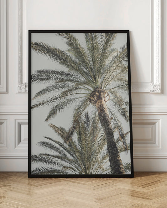 A framed, low-angle photograph of a tall palm tree with a textured brown trunk and sprawling green fronds set against a pale, overcast sky. Wall Art