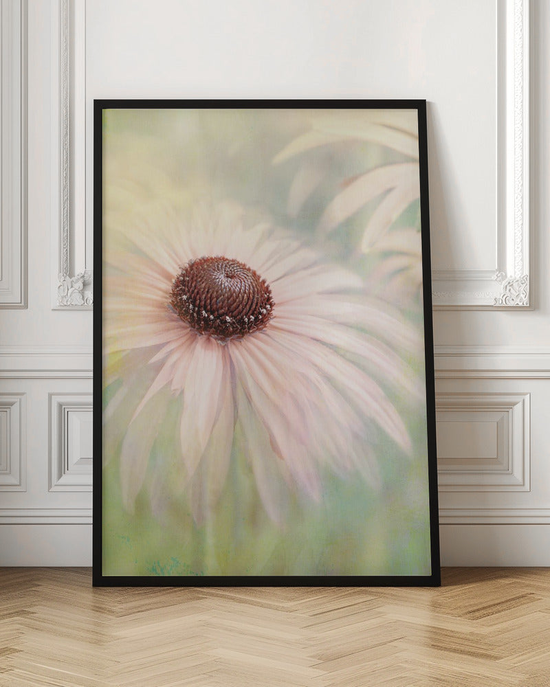 A soft-focus, artistic closeup of a pale pink coneflower with a prominent dark brown, textured center. The background is a dreamy, painterly blend of soft greens and yellows, giving the image an ethereal quality. Wall Art
