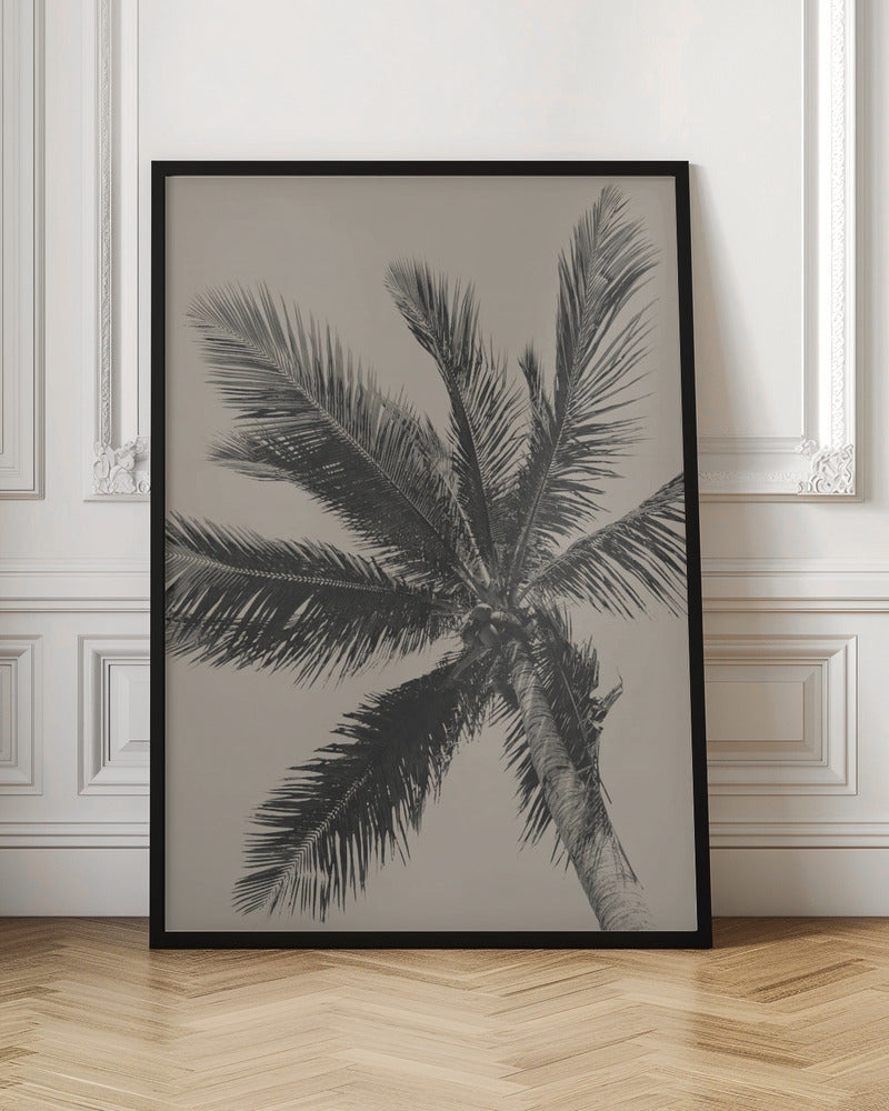 A low-angle, monochrome photograph of a palm tree against a solid light beige sky. The image is framed in black, and the palm fronds spread out across the frame, with a few coconuts visible at the top of the trunk. Poster