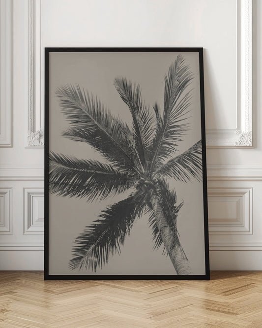 A low-angle, monochrome photograph of a palm tree against a solid light beige sky. The image is framed in black, and the palm fronds spread out across the frame, with a few coconuts visible at the top of the trunk. Poster