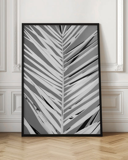 A high-contrast, black and white close-up photograph of a palm frond. The central stem runs vertically through the frame, with the individual leaves creating a dynamic pattern of diagonal white and gray stripes, accented by deep black shadows. The entire image is presented within a thin black frame. Print