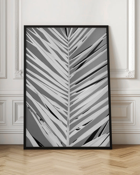 A high-contrast, black and white close-up photograph of a palm frond. The central stem runs vertically through the frame, with the individual leaves creating a dynamic pattern of diagonal white and gray stripes, accented by deep black shadows. The entire image is presented within a thin black frame. Print