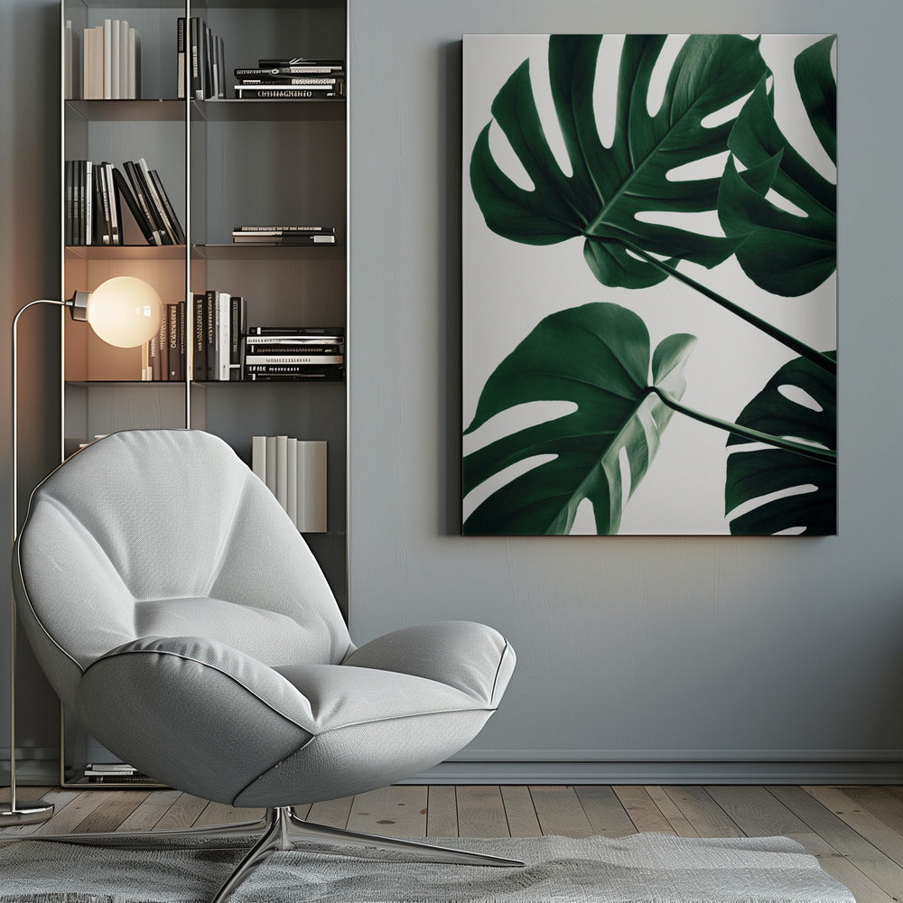 A low-angle, close-up photograph of several large, dark green Monstera leaves against a solid white background, enclosed in a thin black frame. The focus is on the characteristic splits and glossy texture of the leaves. Artwork