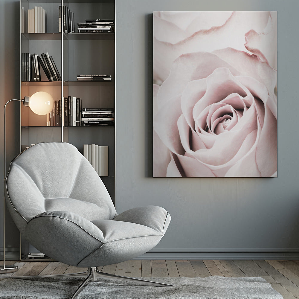 A tightly cropped, macro photograph of a dusty pink rose in a black frame, with its soft petals spiraling inward. Print