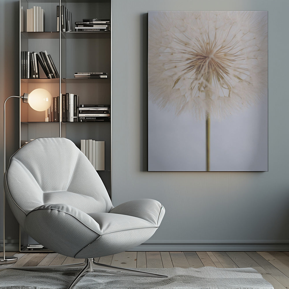 A close-up, macro shot of a fluffy dandelion seed head against a pale, muted grey background. The focus is on the intricate center from which the delicate seeds radiate outwards, creating a soft and ethereal texture. Print