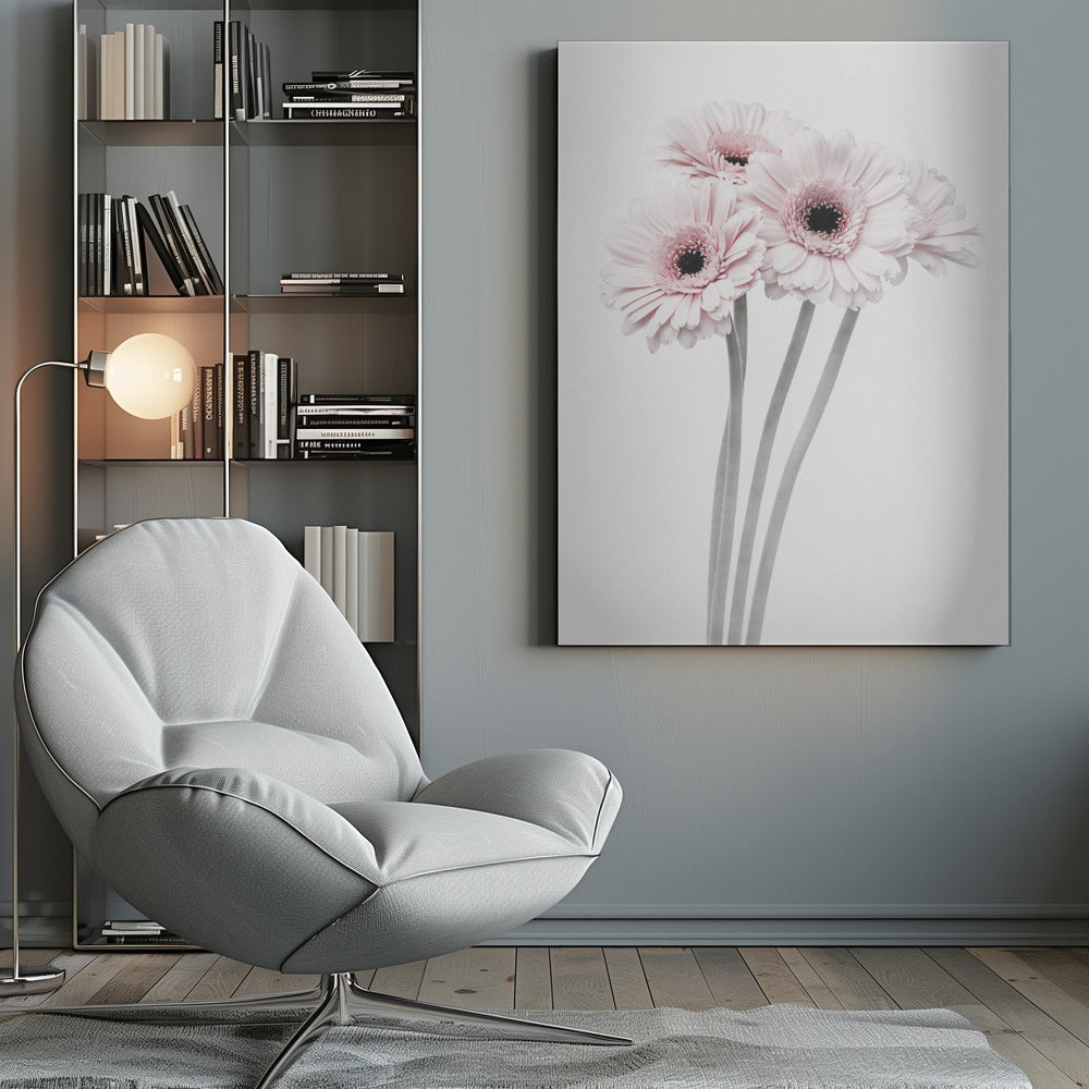 A framed art print featuring a bouquet of four light pink gerbera daisies with dark, detailed centers against a bright white background. The stems are rendered in a soft gray, creating a minimalist and elegant floral composition. Print