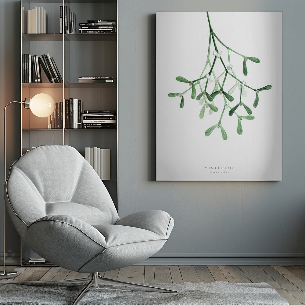 A framed botanical illustration of a sprig of mistletoe hanging from the top. The watercolor painting shows green leaves and stems with small white berries against a plain white background. At the bottom, text reads 'MISTLETOE' and its scientific name 'Viscum Album'. Poster