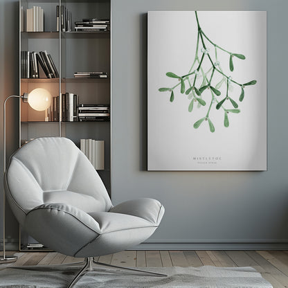 A framed botanical illustration of a sprig of mistletoe hanging from the top. The watercolor painting shows green leaves and stems with small white berries against a plain white background. At the bottom, text reads 'MISTLETOE' and its scientific name 'Viscum Album'. Poster