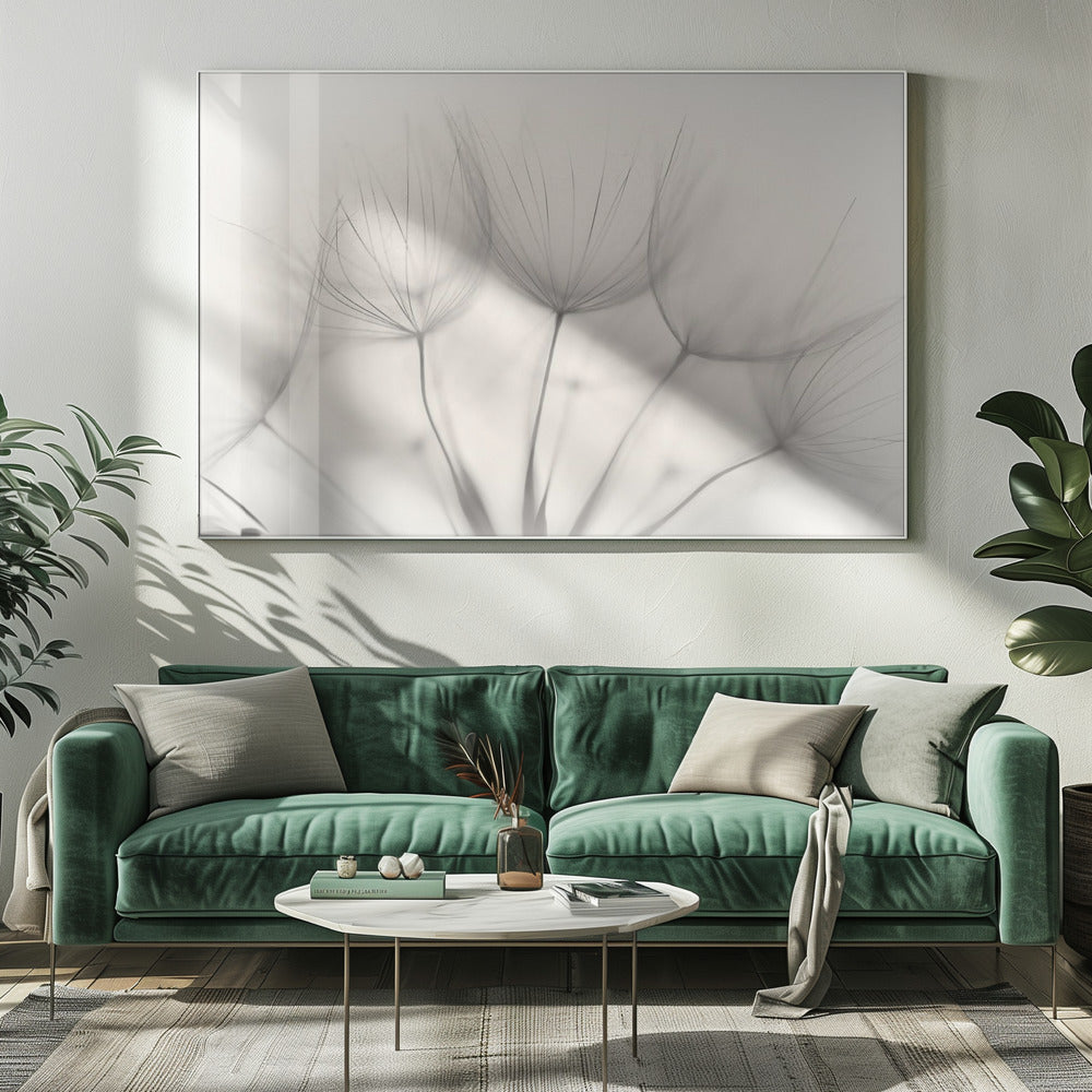 A soft-focus, monochrome macro photograph of several delicate dandelion seeds against a light cream background, presented in a silver frame. Artwork