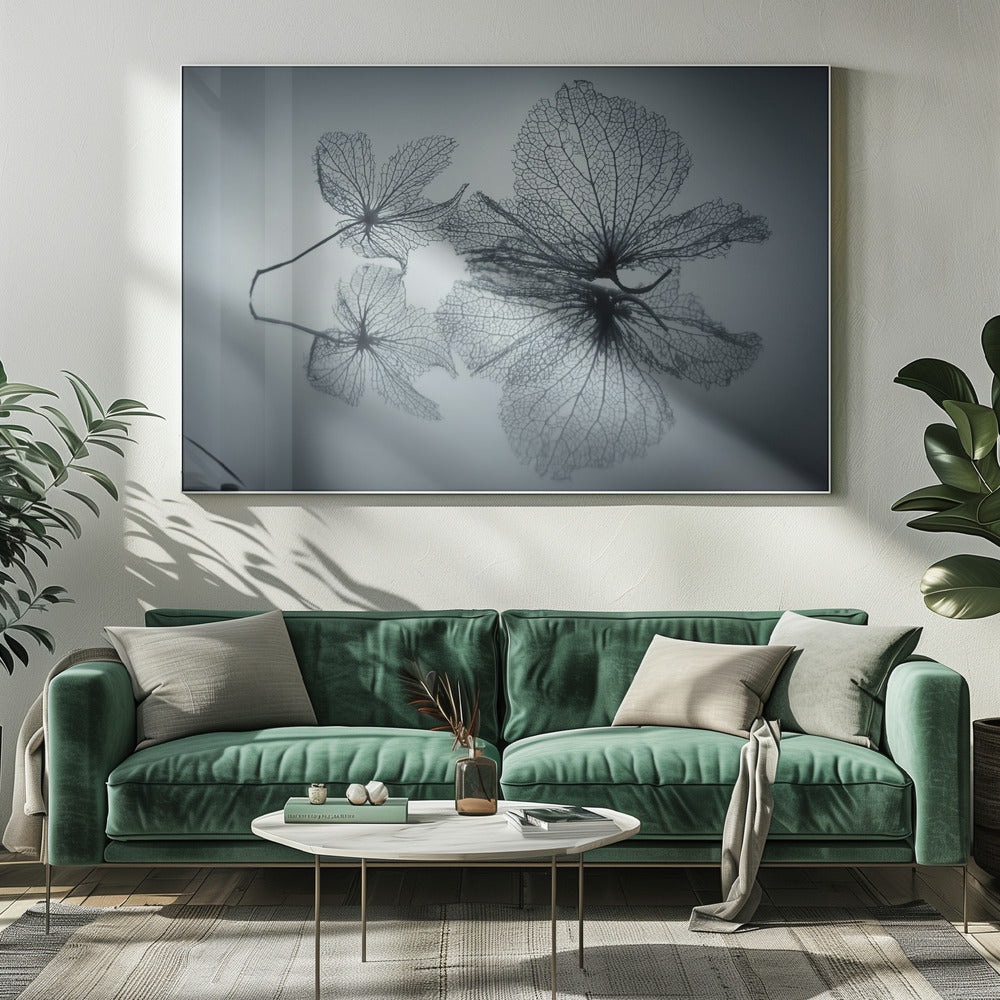 A framed, monochromatic photograph of two delicate skeleton flowers resting on a reflective surface. The intricate, web-like veins of the dried flowers are shown in close-up detail, and their faint reflections are visible below. The background is a soft, out-of-focus gray gradient. Artwork