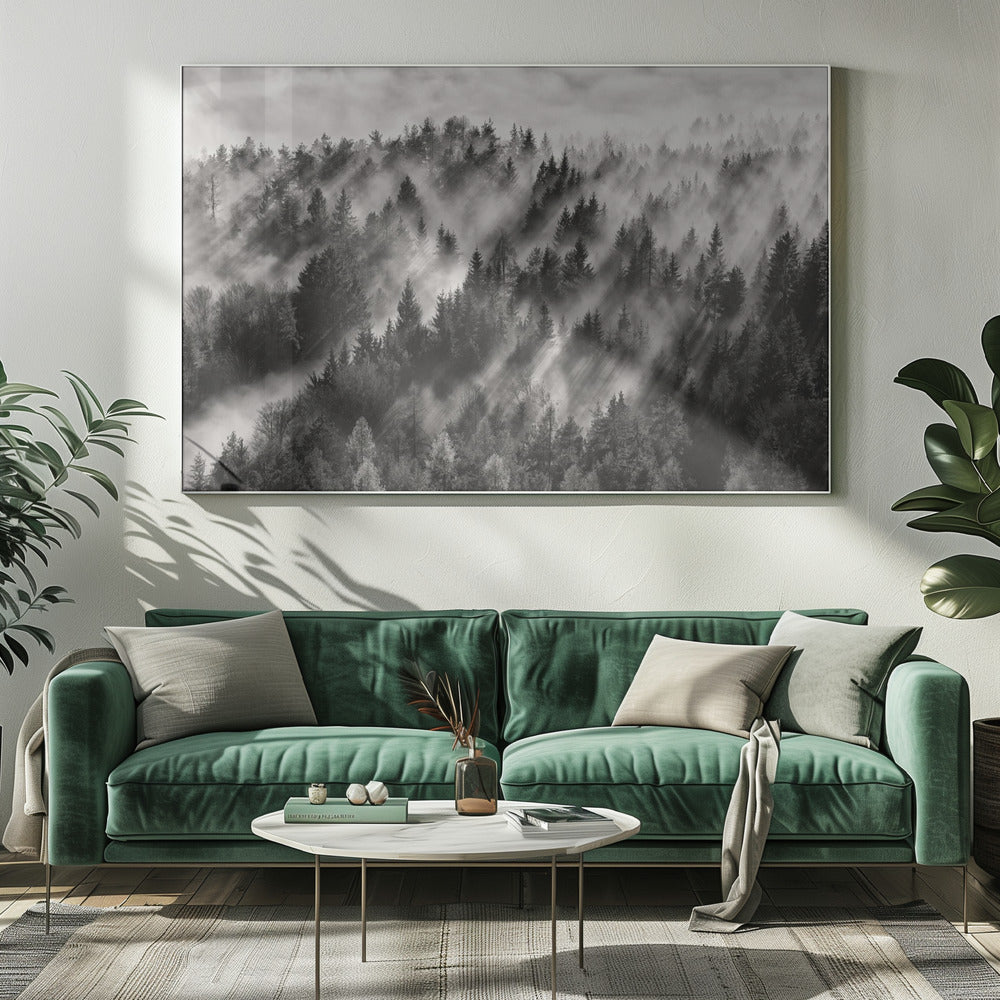 A dramatic black and white photograph of a dense hillside forest shrouded in thick fog. Beams of sunlight pierce through the mist, creating strong light rays across the landscape, all enclosed within a silver frame. Artwork