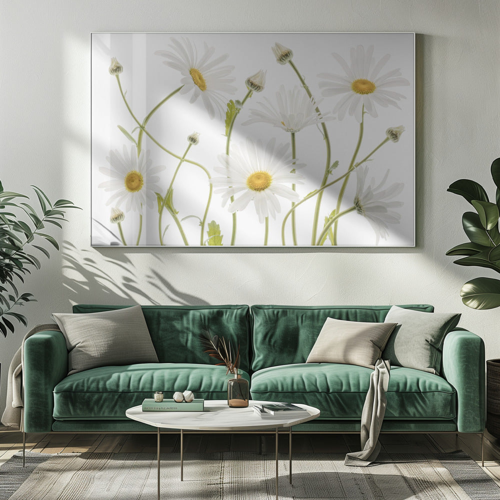 A framed piece of art featuring several white daisies with yellow centers and slender green stems against a clean white background. Some flowers are in full bloom while others are still buds. Wall Art