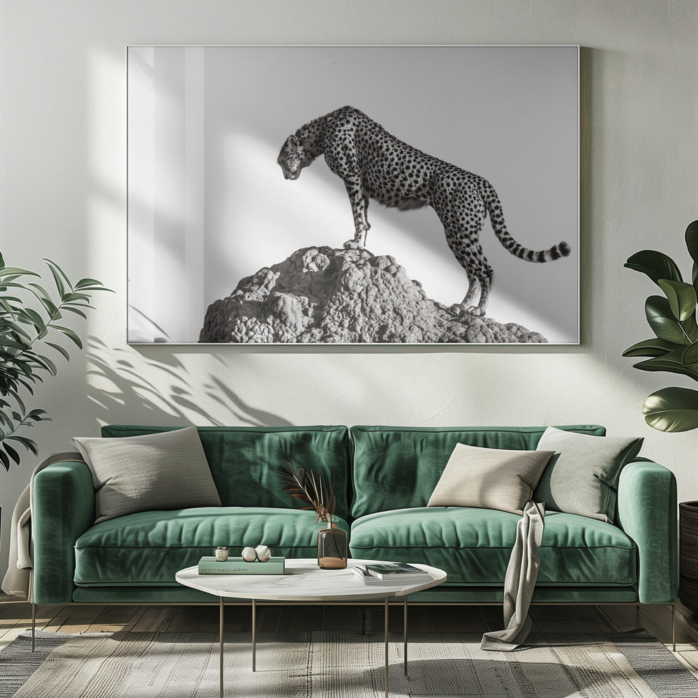 A high-contrast, black and white photograph of a cheetah standing atop a textured rock formation against a plain white background. The cheetah is shown in profile, looking downwards. The image is enclosed in a silver frame. Artwork