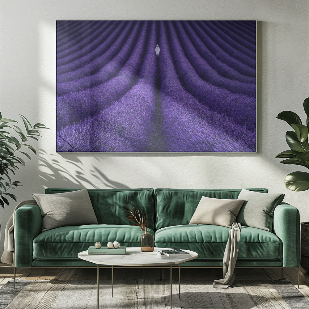 A high-angle photograph of a vast lavender field with the flowers planted in long, curving rows, creating a mesmerizing purple pattern. A single person wearing a white dress and a hat walks away from the camera down a path between the rows. The image is presented within a silver-colored frame. Artwork
