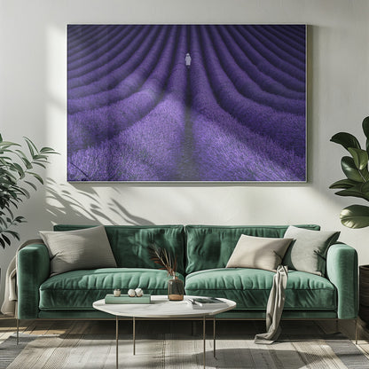 A high-angle photograph of a vast lavender field with the flowers planted in long, curving rows, creating a mesmerizing purple pattern. A single person wearing a white dress and a hat walks away from the camera down a path between the rows. The image is presented within a silver-colored frame. Artwork