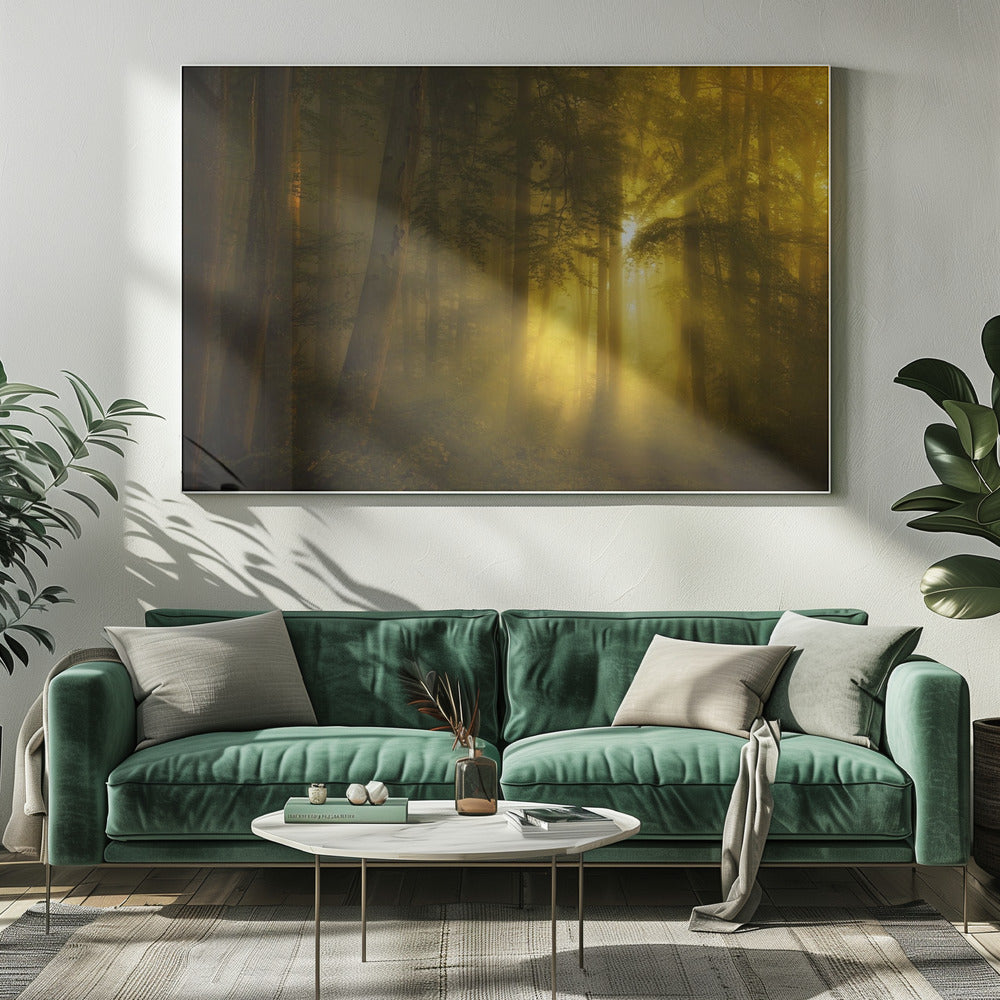 A landscape photograph of a dense, misty forest where golden sunbeams dramatically stream through the tall trees, illuminating the fog and creating a magical, ethereal atmosphere. The image is enclosed in a silver frame. Poster