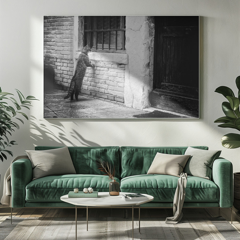A black and white framed photograph of a cat standing on its hind legs, with its front paws on a brick wall, peering curiously into a barred window. The setting is a rustic alley with an old wooden door to the right. Wall Art