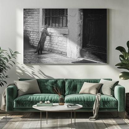 A black and white framed photograph of a cat standing on its hind legs, with its front paws on a brick wall, peering curiously into a barred window. The setting is a rustic alley with an old wooden door to the right. Wall Art