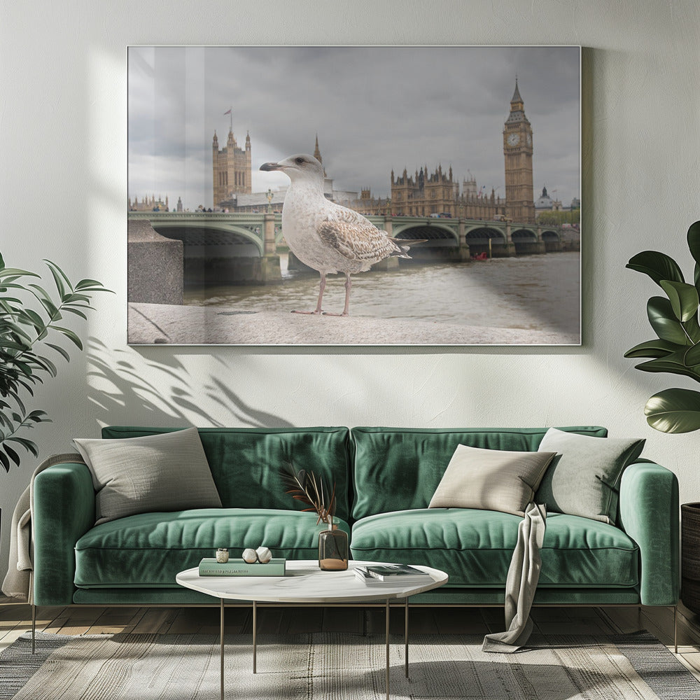 A close-up photograph of a seagull standing on a stone ledge with the River Thames and London's Big Ben clock tower and the Houses of Parliament in the background under a cloudy sky. Decor