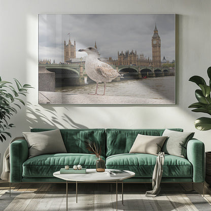 A close-up photograph of a seagull standing on a stone ledge with the River Thames and London's Big Ben clock tower and the Houses of Parliament in the background under a cloudy sky. Decor