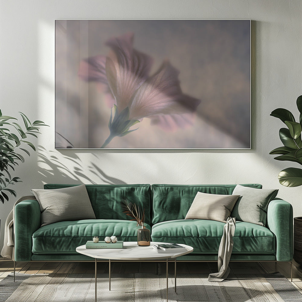 A dreamy, soft-focus photograph of a single pink flower seen from a low angle, with delicate, translucent petals against a muted, hazy background, presented in a silver frame. Print