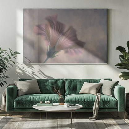 A dreamy, soft-focus photograph of a single pink flower seen from a low angle, with delicate, translucent petals against a muted, hazy background, presented in a silver frame. Print