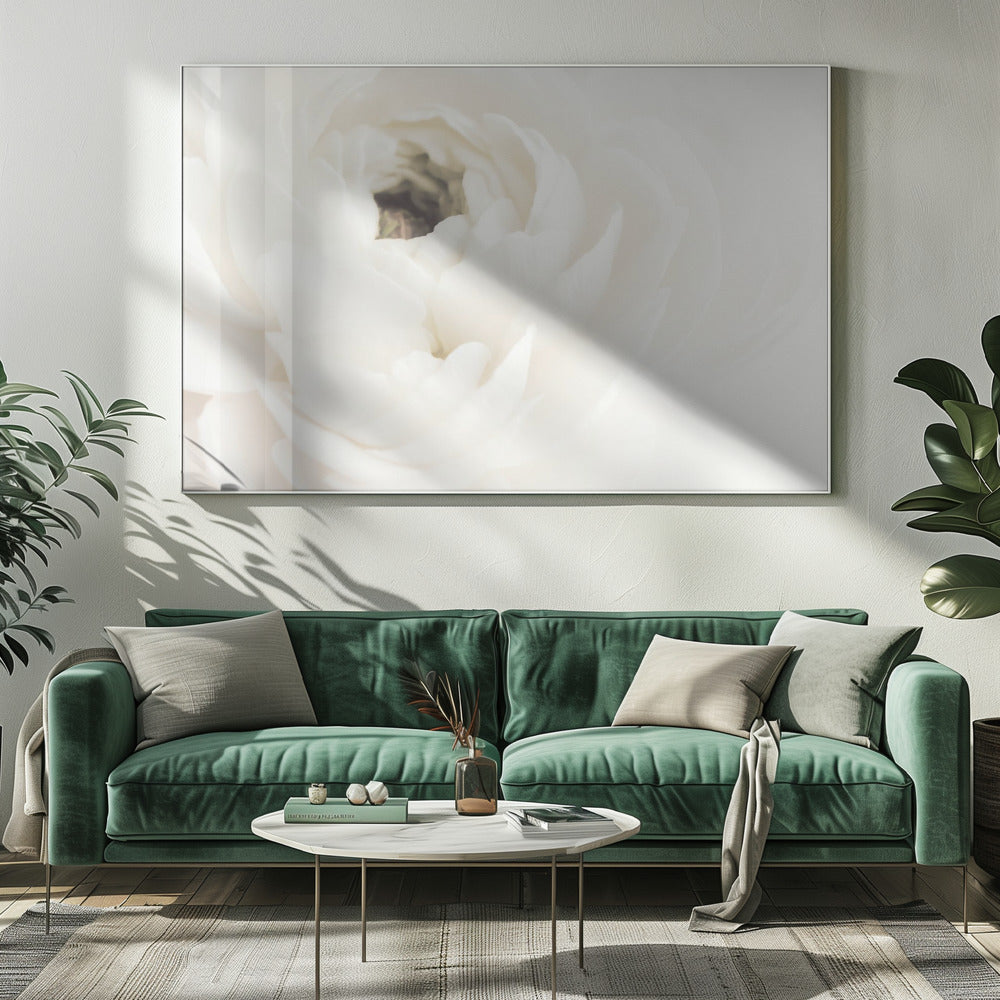 A soft-focus, macro photograph of a white ranunculus flower, its delicate, layered petals filling the frame. The image has a bright, ethereal quality and is presented in a brushed silver frame. Wall Art