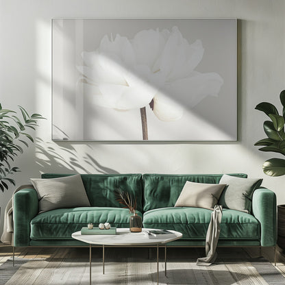 A close-up, slightly off-center photograph of a fully bloomed white peony against a plain, light grey background, presented in a silver brushed metal frame. Artwork