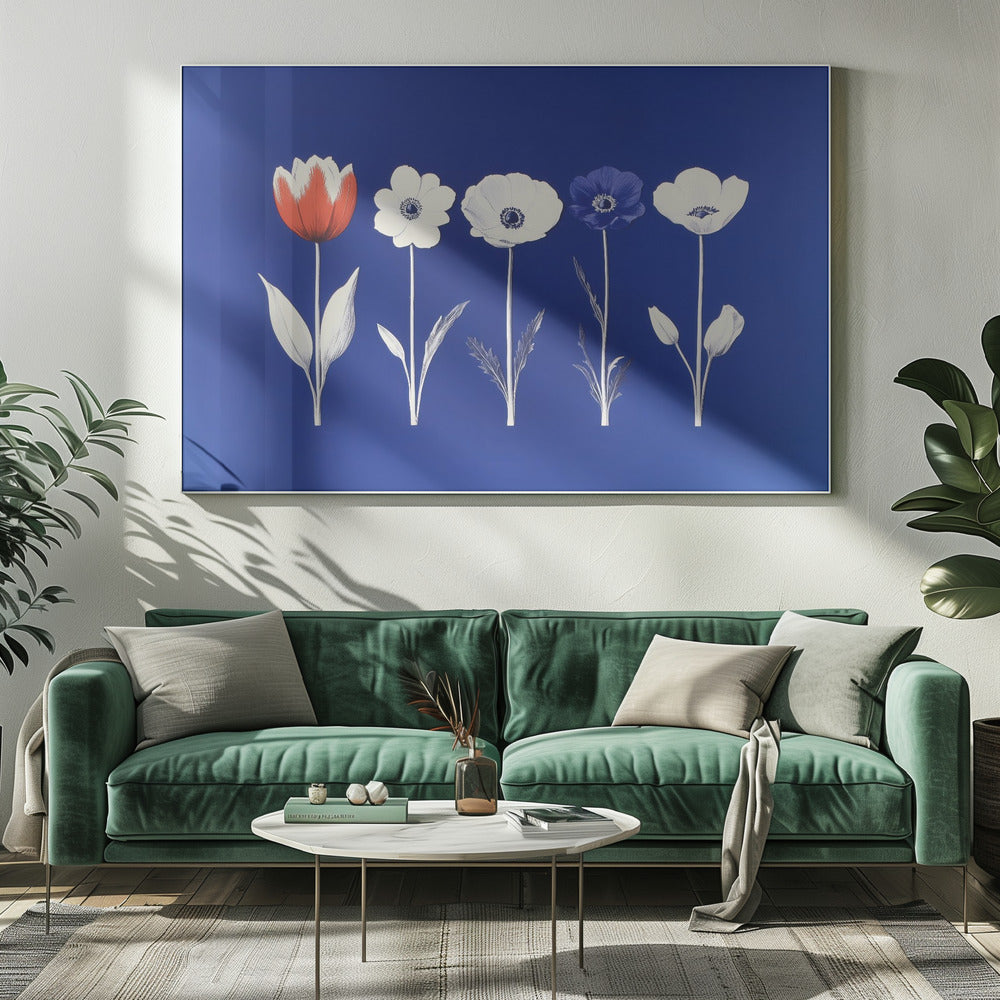 A framed art print showing five flowers in a horizontal line against a vibrant royal blue background. The flowers are illustrated in a graphic style, with one red tulip, one blue anemone, and three white anemones. The stems and leaves are depicted in white and grey tones. The artwork is enclosed in a silver frame. Poster