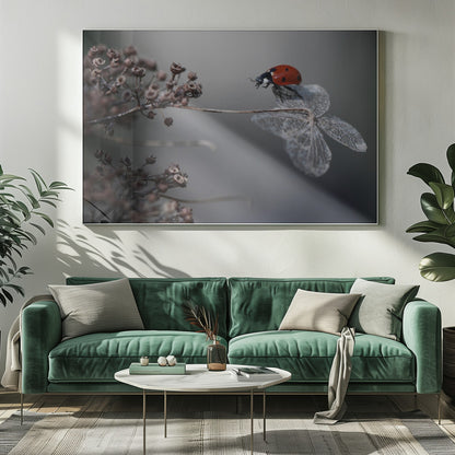 A close-up photograph of a bright red ladybug perched on the delicate, skeletal remains of a dried white flower. The background is a soft, out-of-focus gray, with brown, dried seed pods on a branch to the left. The image is framed with a silver border. Decor