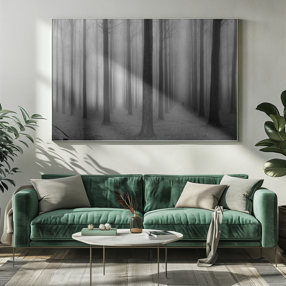 A moody black and white framed photograph of a person walking away through a dense forest on a foggy day. Tall, dark, leafless tree trunks stand in rows, disappearing into the thick, white mist, creating a sense of depth and mystery. Wall Art