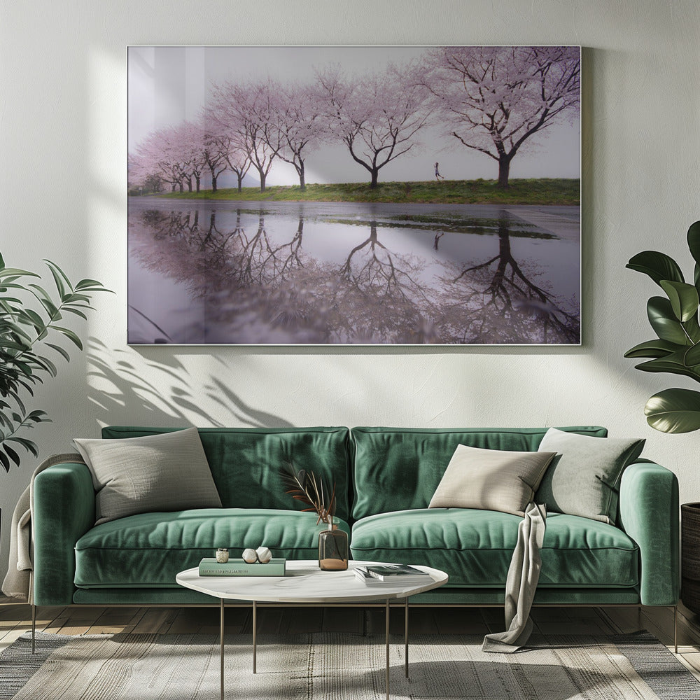 A framed photograph of a row of pink cherry blossom trees on a grey, overcast day, perfectly reflected in a large puddle on a wet road. A small figure of a person is seen running along the grassy bank in the distance. Poster