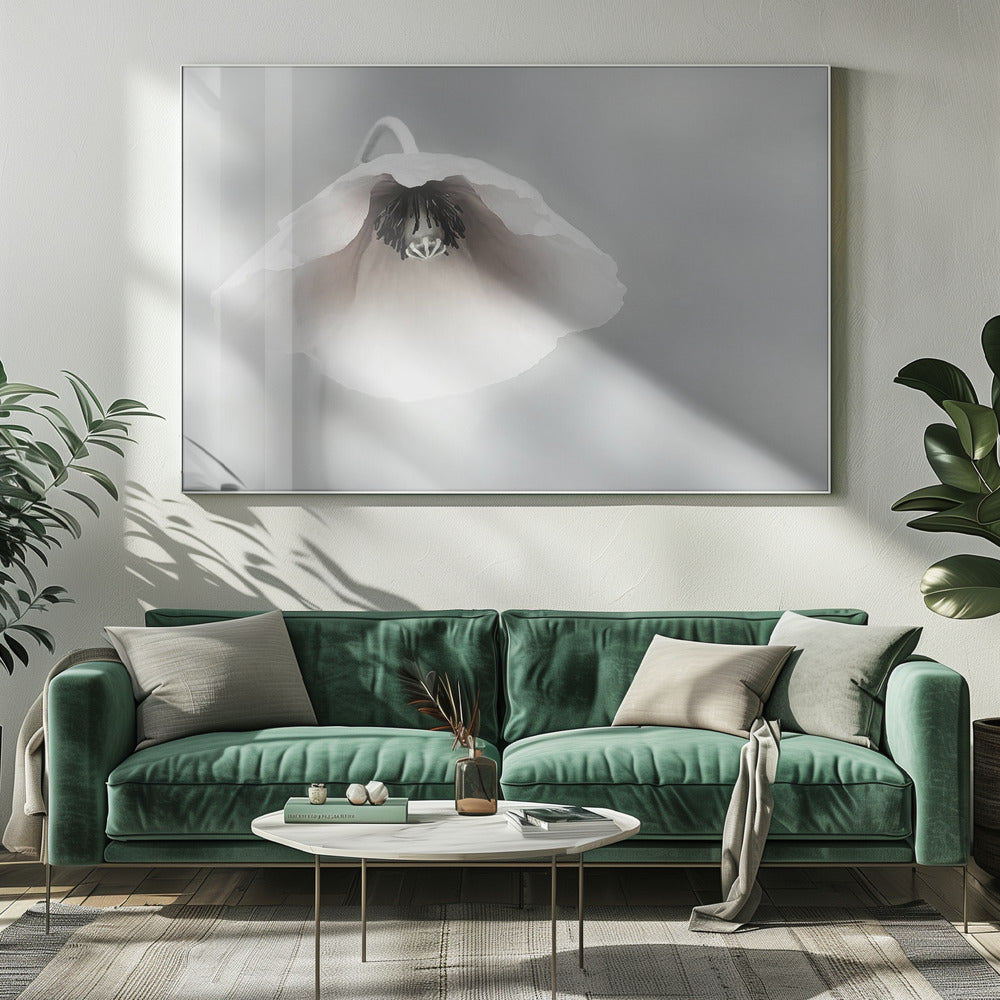 A close-up, soft-focus photograph of a single white poppy flower hanging downwards. The delicate petals are white with a hint of blush, revealing a dark black center. The background is a smooth, light gray, and the entire image is presented in a silver frame. Poster