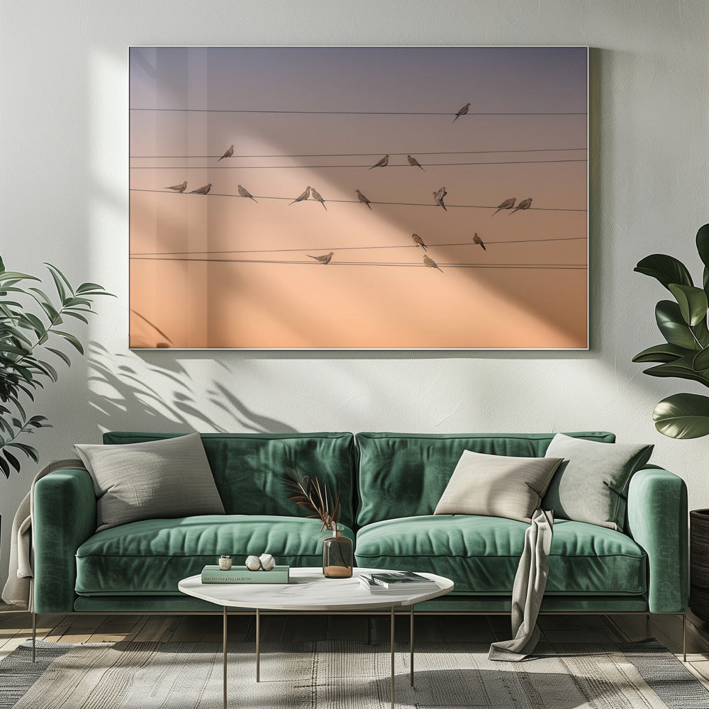 A photograph of numerous small birds perched on several parallel telephone wires against a gradient sunset sky that shifts from light purple to a warm orange. The entire image is enclosed in a silver frame. Artwork