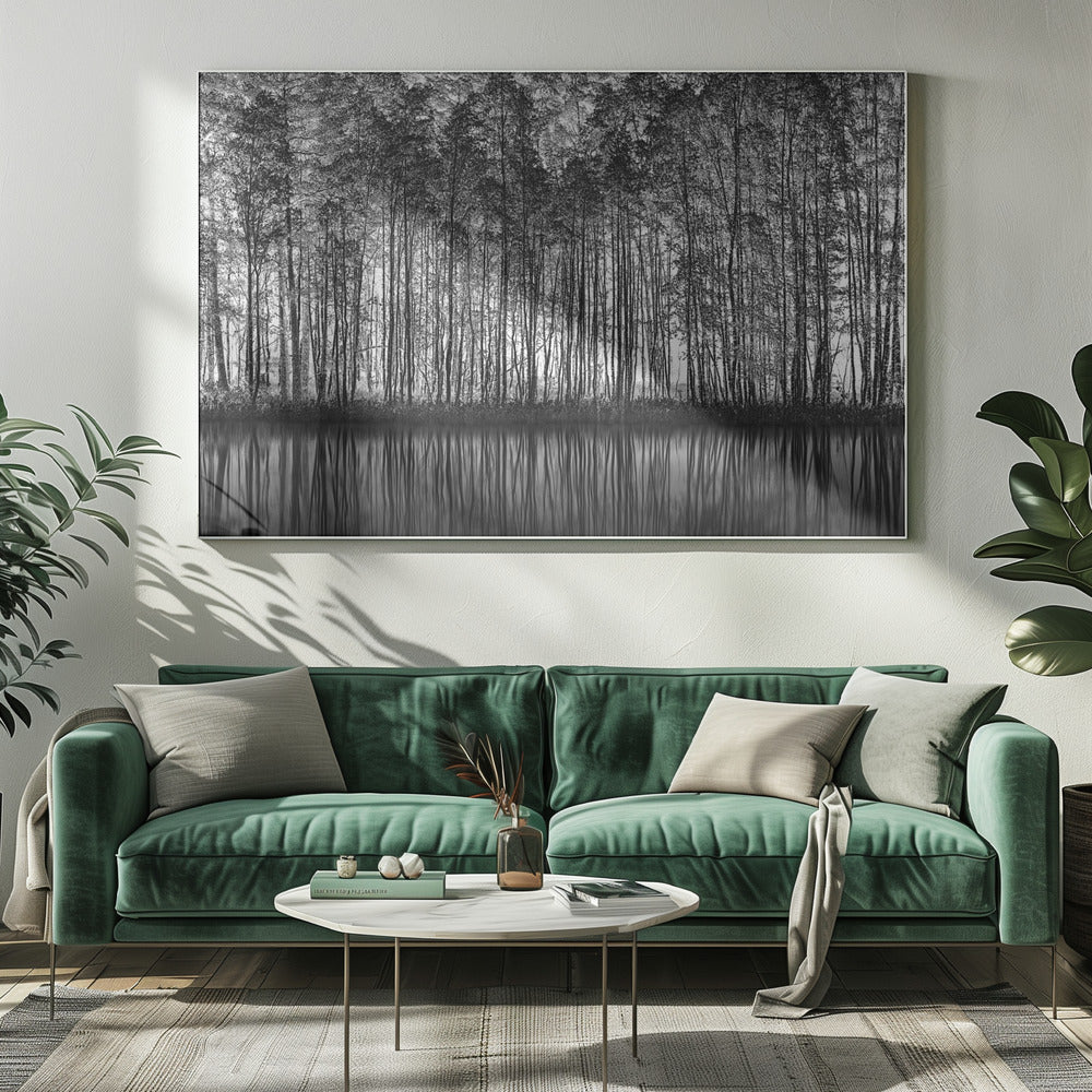 A framed black and white photograph of a dense forest of tall, slender trees reflected perfectly in the calm water below, creating a symmetrical and dramatic landscape. Poster