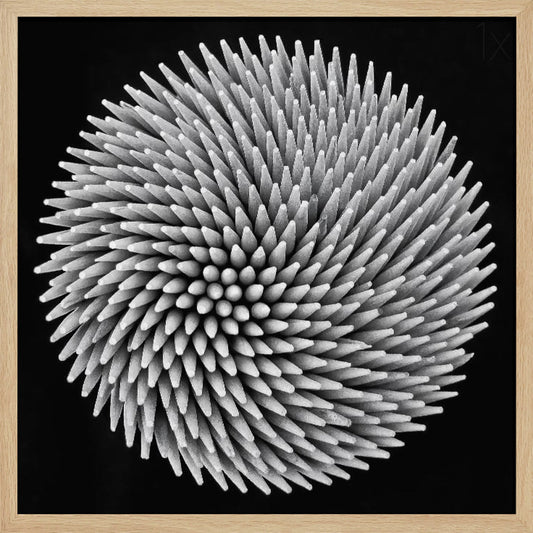 A framed, black and white, top-down macro photograph of a dense, circular bundle of wooden toothpicks. The points of the toothpicks radiate outwards in a swirling, spiral pattern, creating a highly textured and spiky sphere against a solid black background. Artwork