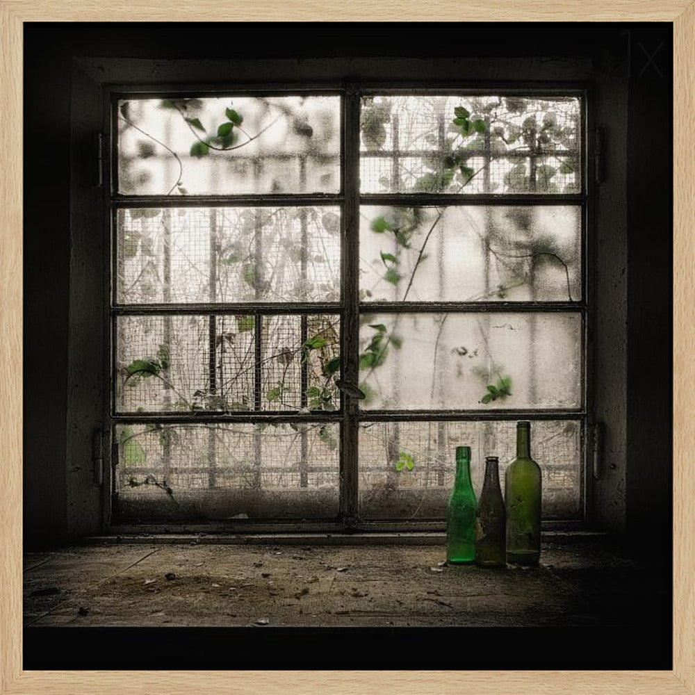 A moody photograph of three dusty green glass bottles sitting on a dirty windowsill in a dark, abandoned room. Behind them, a large, grimy, multi-paned window with wire mesh lets in dim light, revealing the silhouettes of overgrown vines outside. Poster