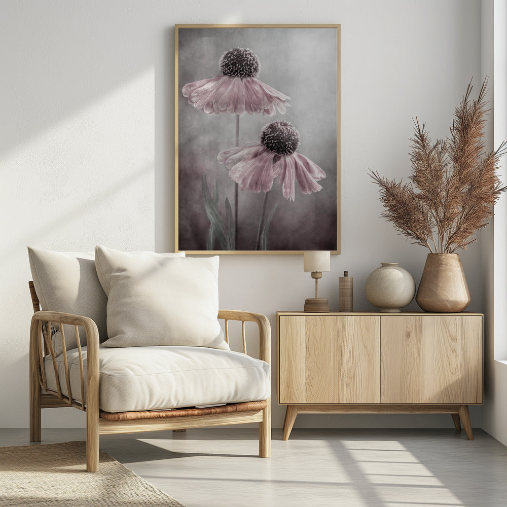 A soft-focus, artistic photograph of two delicate pink flowers with dark, textured centers and drooping petals against a muted, mottled grey background. Print
