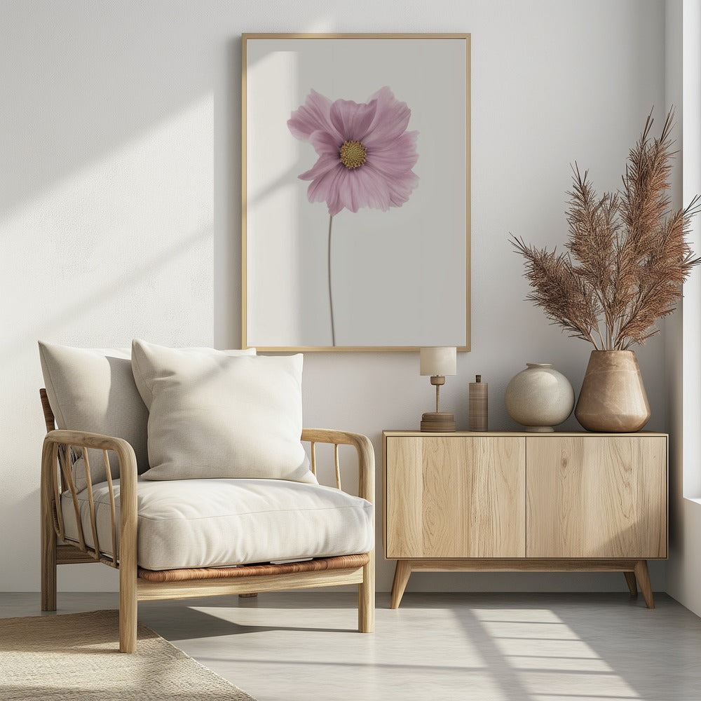 A minimalist framed photograph of a single pink cosmos flower with a yellow center and a long, thin stem, set against a stark, off-white background. Artwork