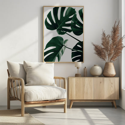 A low-angle, close-up photograph of several large, dark green Monstera leaves against a solid white background, enclosed in a thin black frame. The focus is on the characteristic splits and glossy texture of the leaves. Artwork