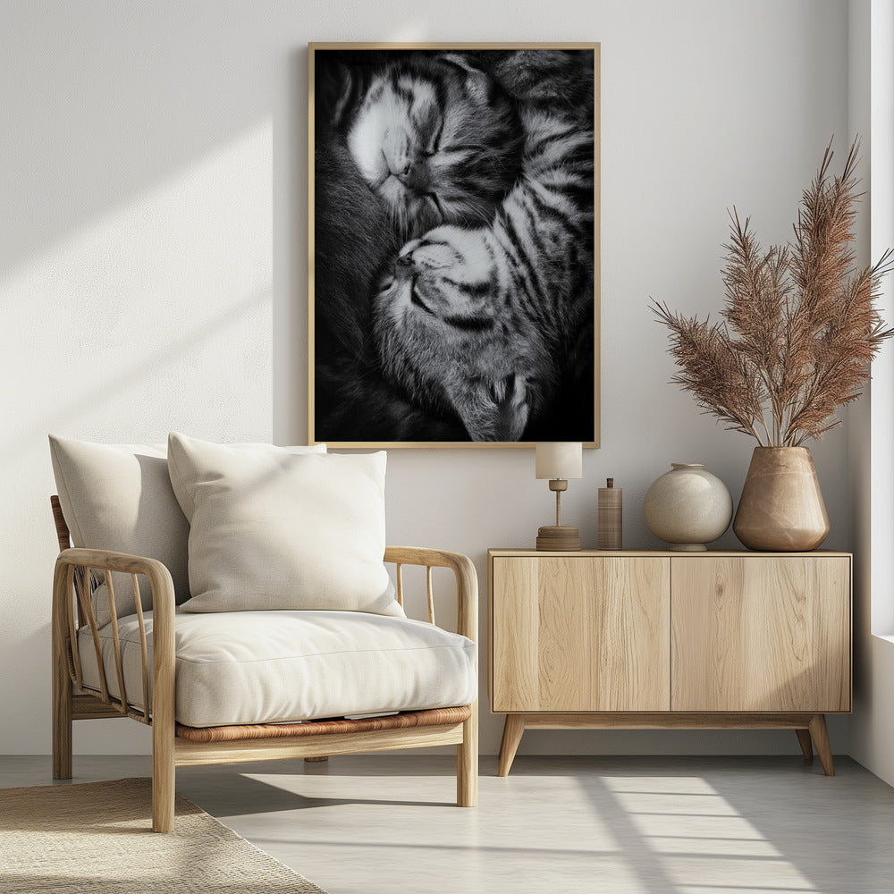 A tender black and white close-up photograph of two striped tabby kittens sleeping soundly, curled up together in a yin-yang-like position. Wall Art