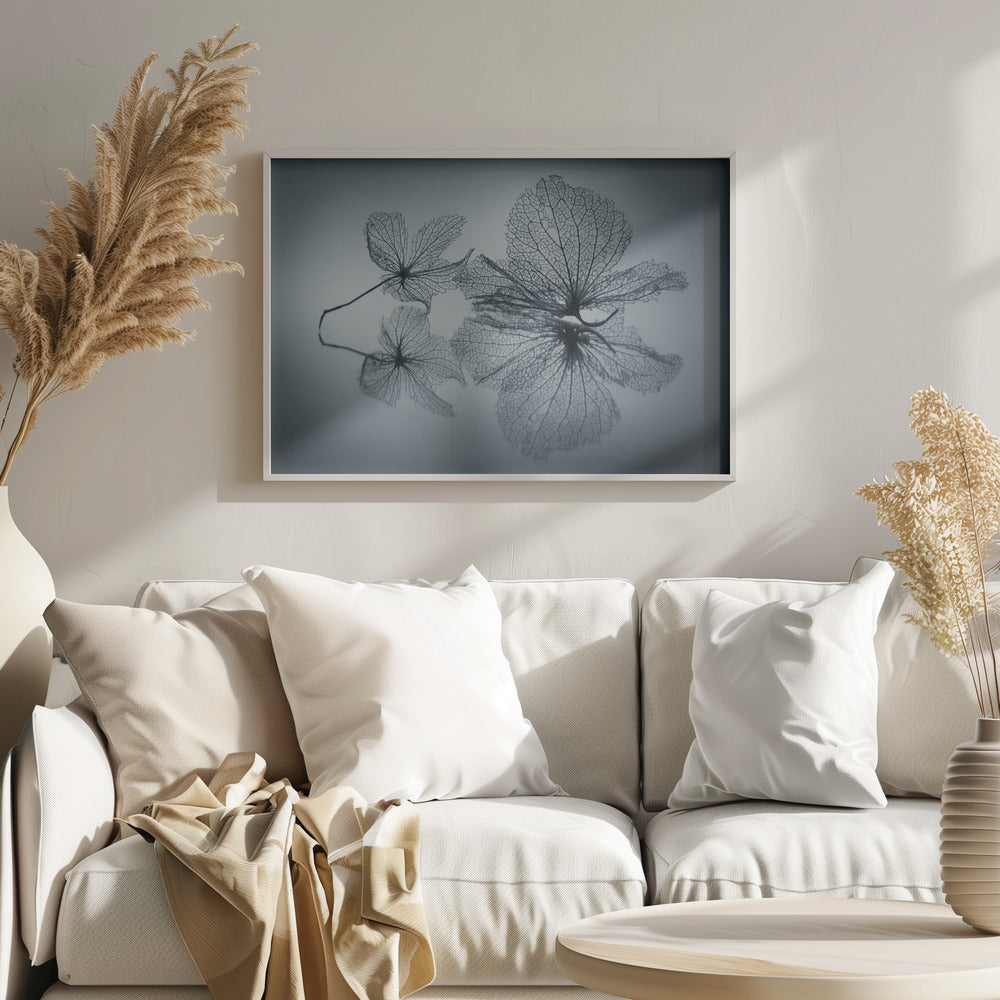 A framed, monochromatic photograph of two delicate skeleton flowers resting on a reflective surface. The intricate, web-like veins of the dried flowers are shown in close-up detail, and their faint reflections are visible below. The background is a soft, out-of-focus gray gradient. Artwork