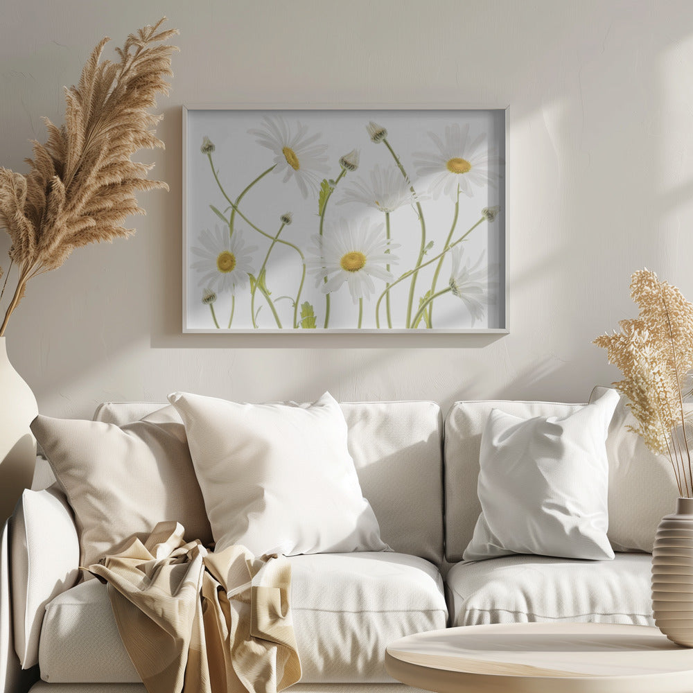 A framed piece of art featuring several white daisies with yellow centers and slender green stems against a clean white background. Some flowers are in full bloom while others are still buds. Wall Art