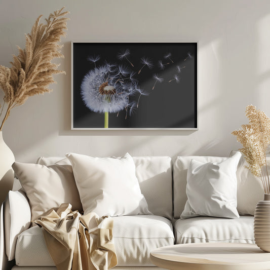 A close-up, framed photograph of a dandelion seed head against a stark black background, with its fluffy white seeds being carried away by an unseen wind. Wall Art