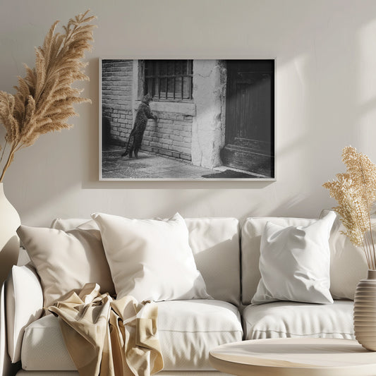 A black and white framed photograph of a cat standing on its hind legs, with its front paws on a brick wall, peering curiously into a barred window. The setting is a rustic alley with an old wooden door to the right. Wall Art